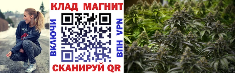 Виды наркоты Лениногорск ГАШИШ  Бошки Шишки  Alpha PVP  Мефедрон  КОКАИН 