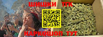 спиды Камышлов