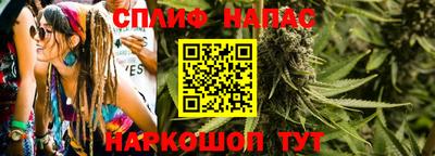 спиды Камышлов