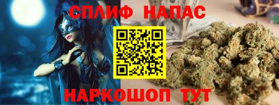 спиды Камышлов