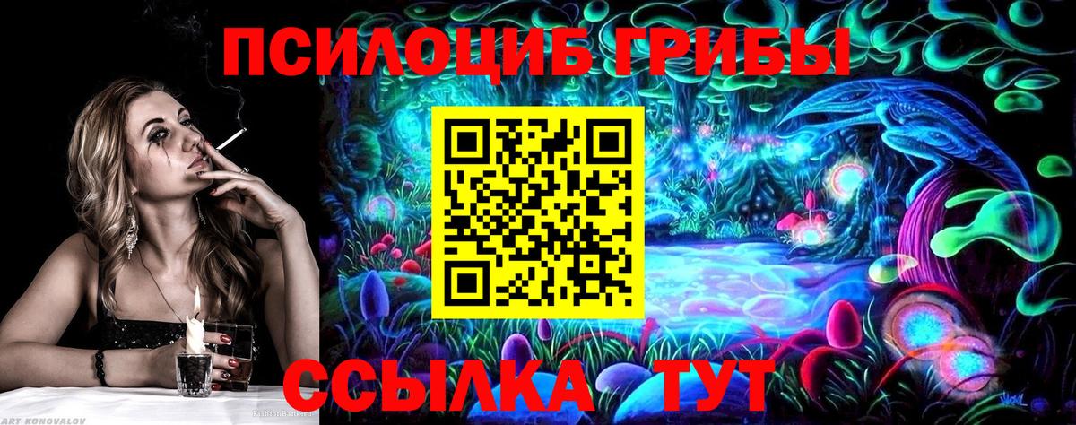Псилоцибиновые грибы GOLDEN TEACHER  Вход с VPN  Галлюциногенные грибы Psilocybine cubensis  Лениногорск 