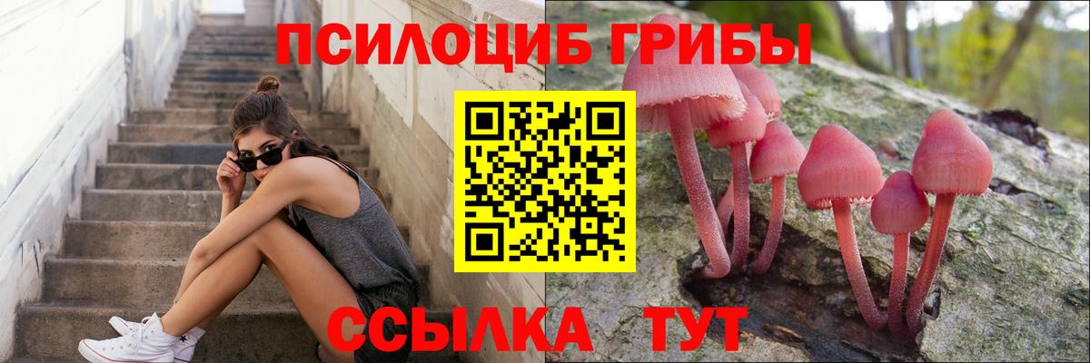 Галлюциногенные грибы Psilocybine cubensis Лениногорск